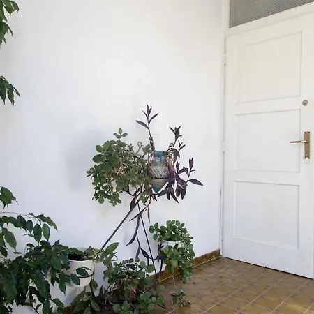 Miljenko Apartamento Vis