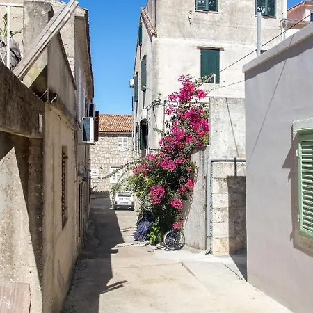 Apartamento Miljenko *